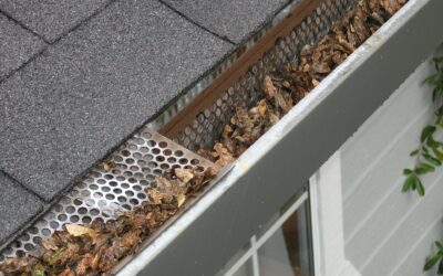 Gutter Maintenance