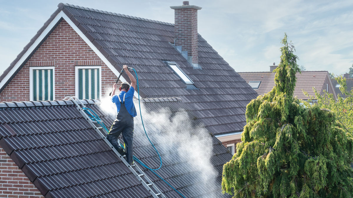 Roof Cleaning Servcies